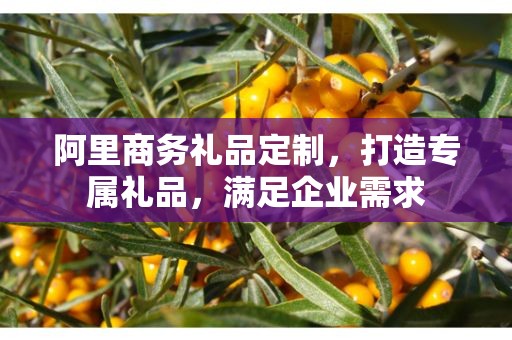 阿里商务礼品定制，打造专属礼品，满足企业需求